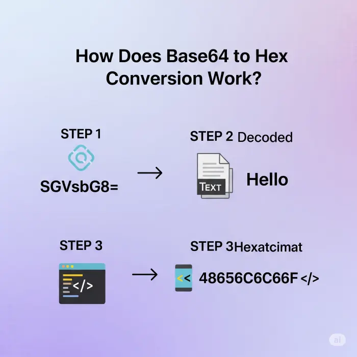 base64 to hex conversion infographic base64 to hex conversion infographic
