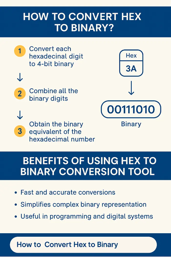 hex to binary conversion infographic hex to binary conversion infographic